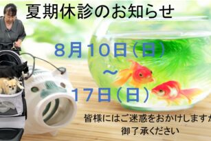 やまのうち歯科医院　宇都宮　歯医者